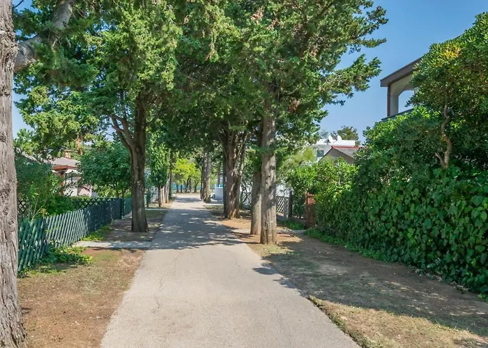 Bistra Near The Sandy - By Ta Leut Tourist Agency Daire Privlaka (Zadar)