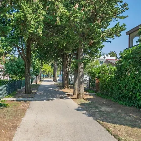 Bistra Near The Sandy - By Ta Leut Tourist Agency Apartment Privlaka (Zadar)